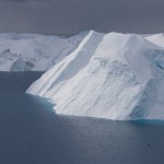 _MG_8348